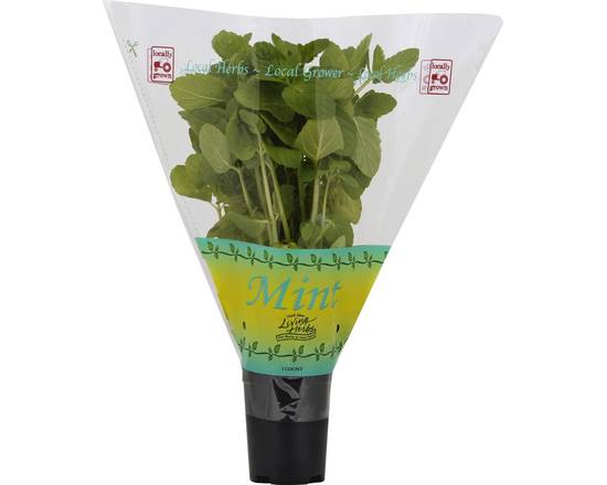 Order North Shore Living Herbs · Mint Plant (1 ct) food online from Vons store, Fillmore on bringmethat.com