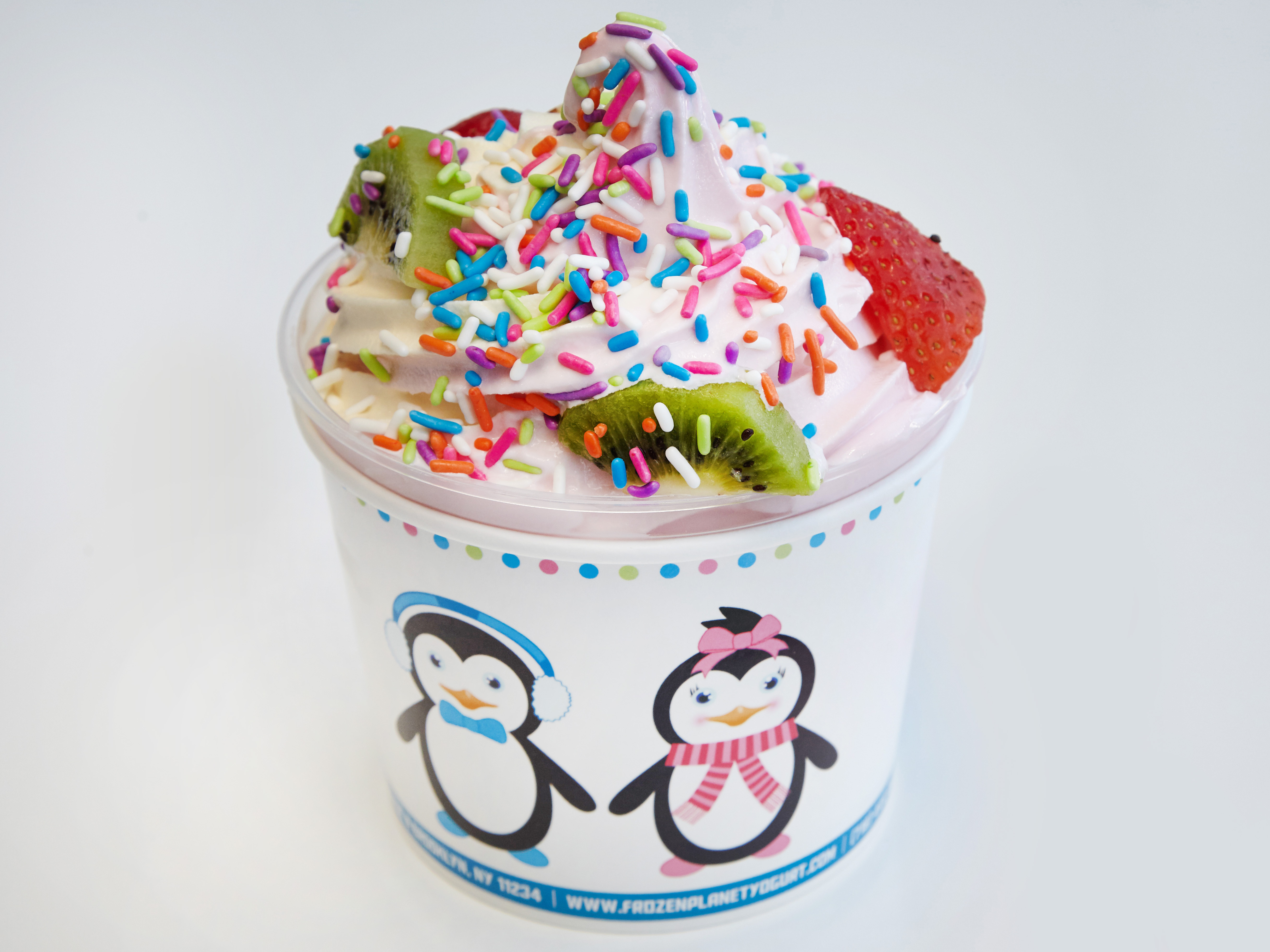 Order Frozen Yogurt  food online from Frozen Planet store, Brooklyn on bringmethat.com
