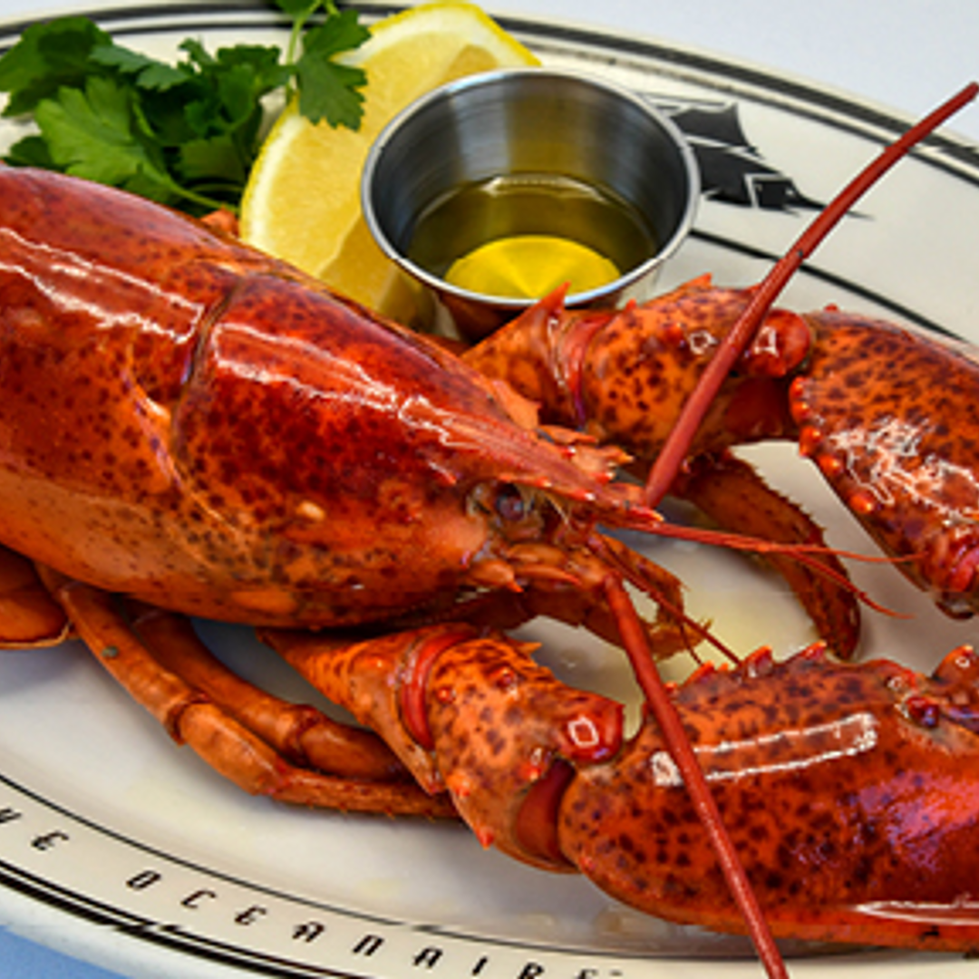 Order 1.5lb Live Maine Lobster food online from The Oceanaire Seafood Room store, Atlanta on bringmethat.com