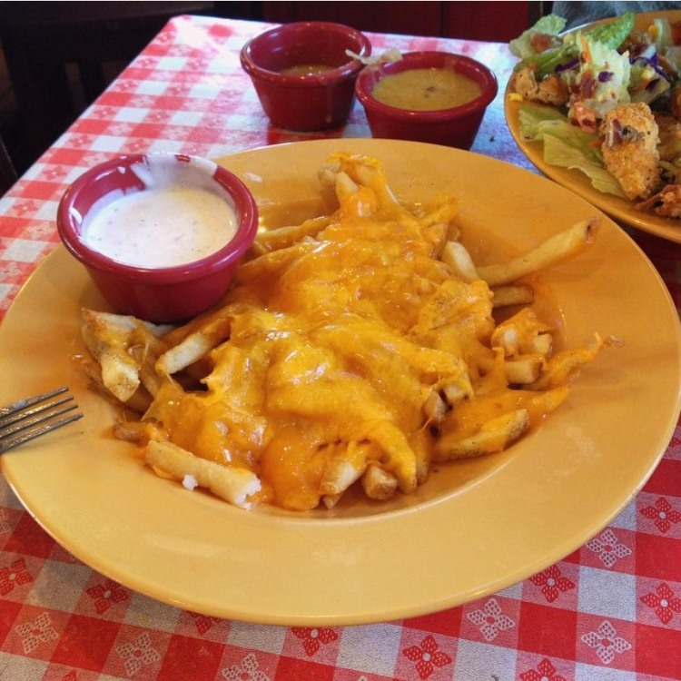 Order Cheddar Fries food online from Chips Old Fashioned Hamburgers store, Dallas on bringmethat.com