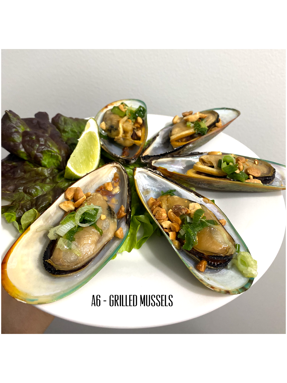 Order Green Mussels food online from Pho Thien Vietnamese Kitchen store, Naperville on bringmethat.com