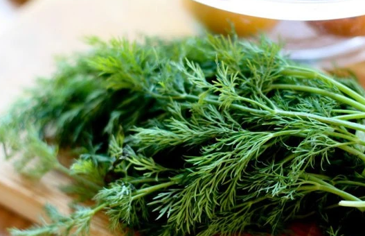 Order Wild Fernleaf (Anithos) Dill Olive Oil food online from Tales Of The Olive store, Hammonton on bringmethat.com