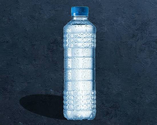 Order Water Bottle food online from Ministry Of Curry store, Marietta on bringmethat.com