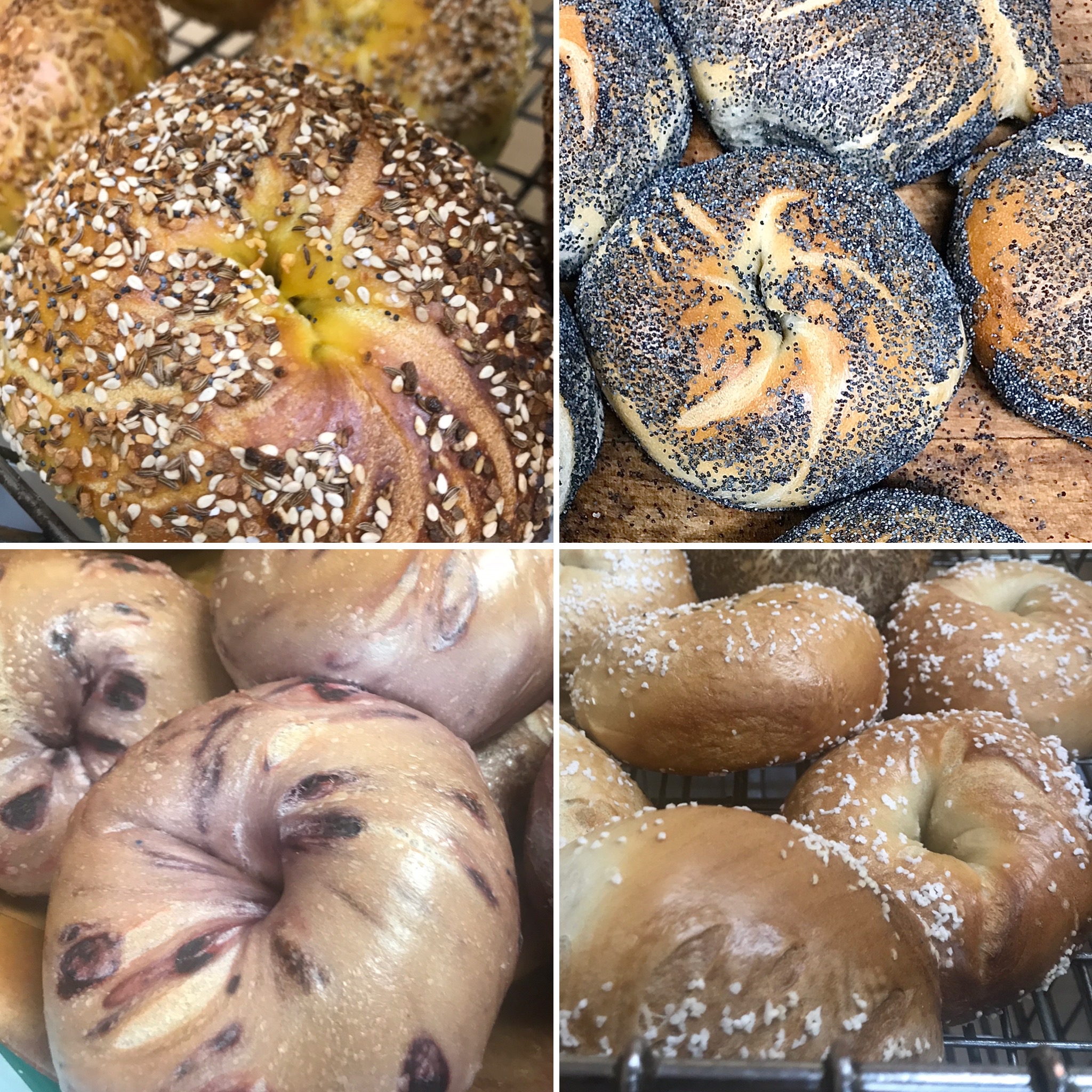 Order 1 Dozen Bagels food online from Max Bialystok & Company store, Long Beach on bringmethat.com