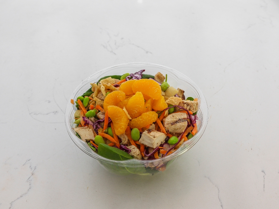Order Mandarin Chicken Salad food online from Art Of Salad store, Long Branch on bringmethat.com