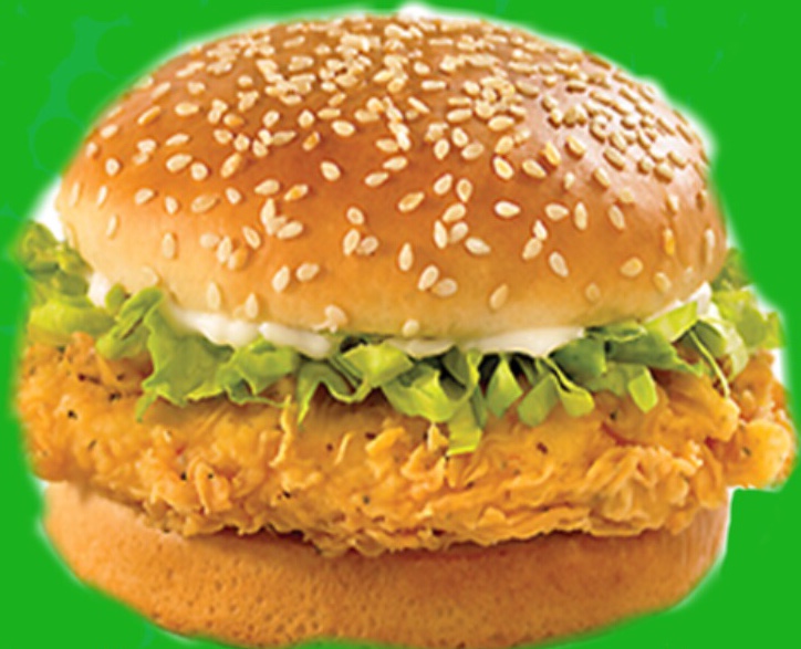 Order Chicken Burger food online from Gyro King store, Teaneck on bringmethat.com