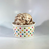 Order Small VEGAN Ice Cream food online from Coney Waffle Ice Cream And Sweet Shop store, Red Bank on bringmethat.com