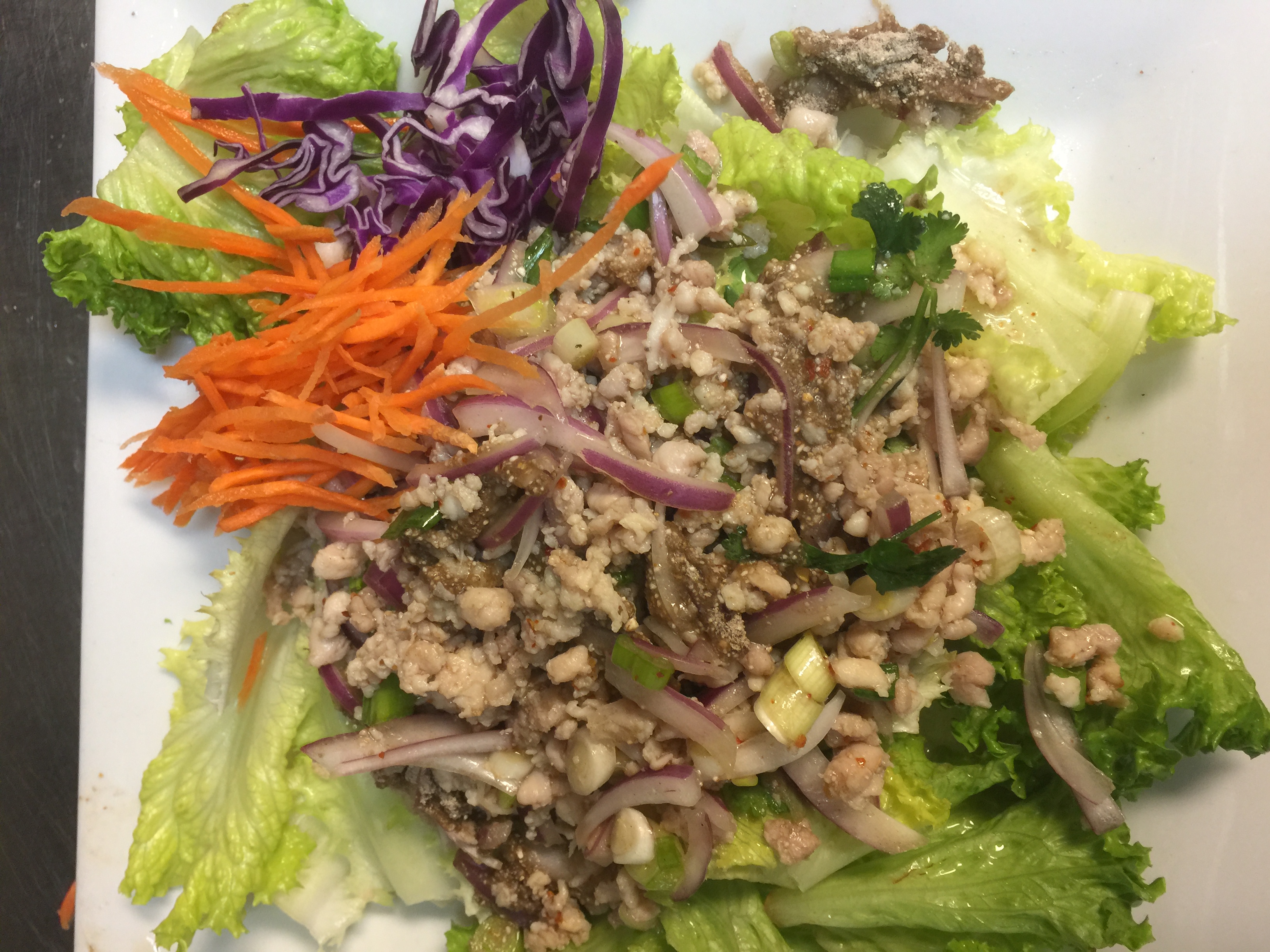 Order Larb Kai Salad food online from Mama Thai store, Oak Park on bringmethat.com