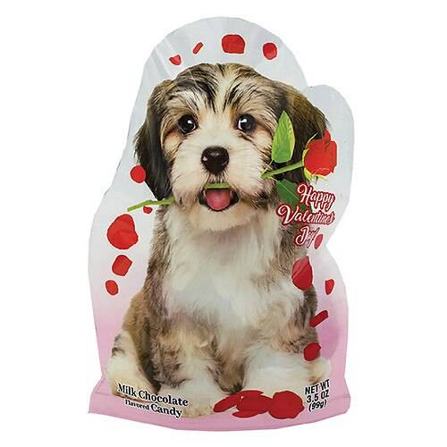 Order R.M. Palmer Valentine's Milk Chocolate Flavored Foil Hearts in Puppy Bag - 3.5 oz food online from Walgreens store, Walkertown on bringmethat.com