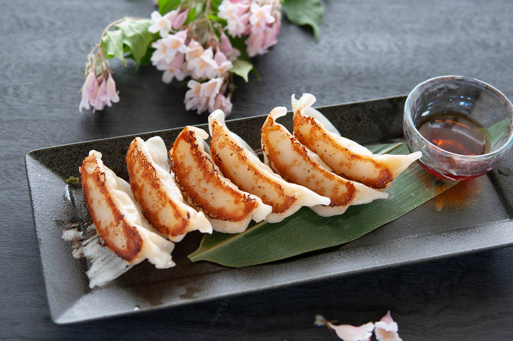 Order Pork Gyoza food online from Kumo Sushi Hibachi & Lounge store, Bay Shore on bringmethat.com