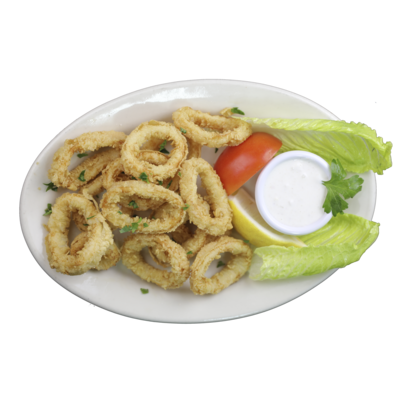 Order fried calamari food online from Turkish Kebab House store, Pittsburgh on bringmethat.com