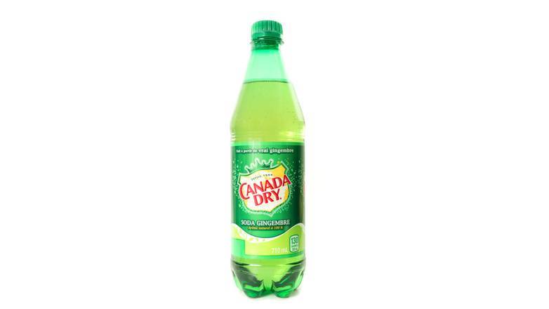 Order Ginger Ale Bottle (20 oz) food online from Amore Pasta Ristorante store, Westbury on bringmethat.com