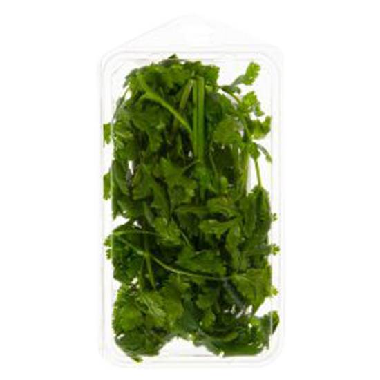 Order Jacobs Farm Organic Cilantro 0.75oz Clamshell food online from Everyday Needs by Gopuff store, Stamford on bringmethat.com