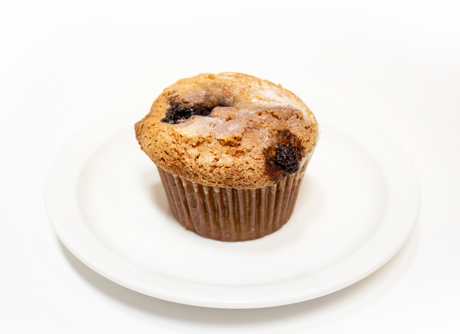 Order Blueberry Muffin food online from Temple Coffee Roasters store, Sacramento on bringmethat.com