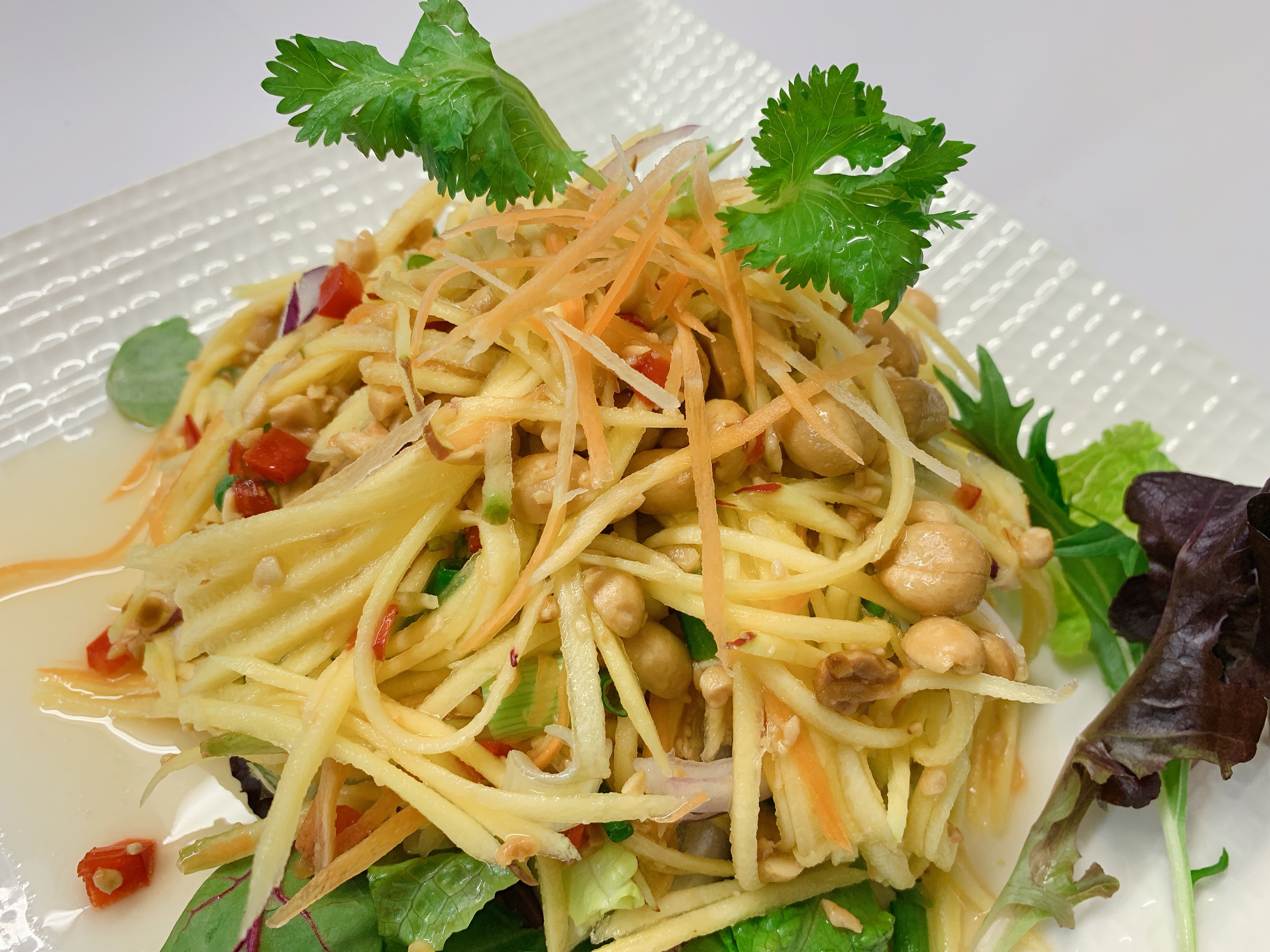 Order Mango Salad food online from House of Thai Cuisine store, Philadelphia on bringmethat.com