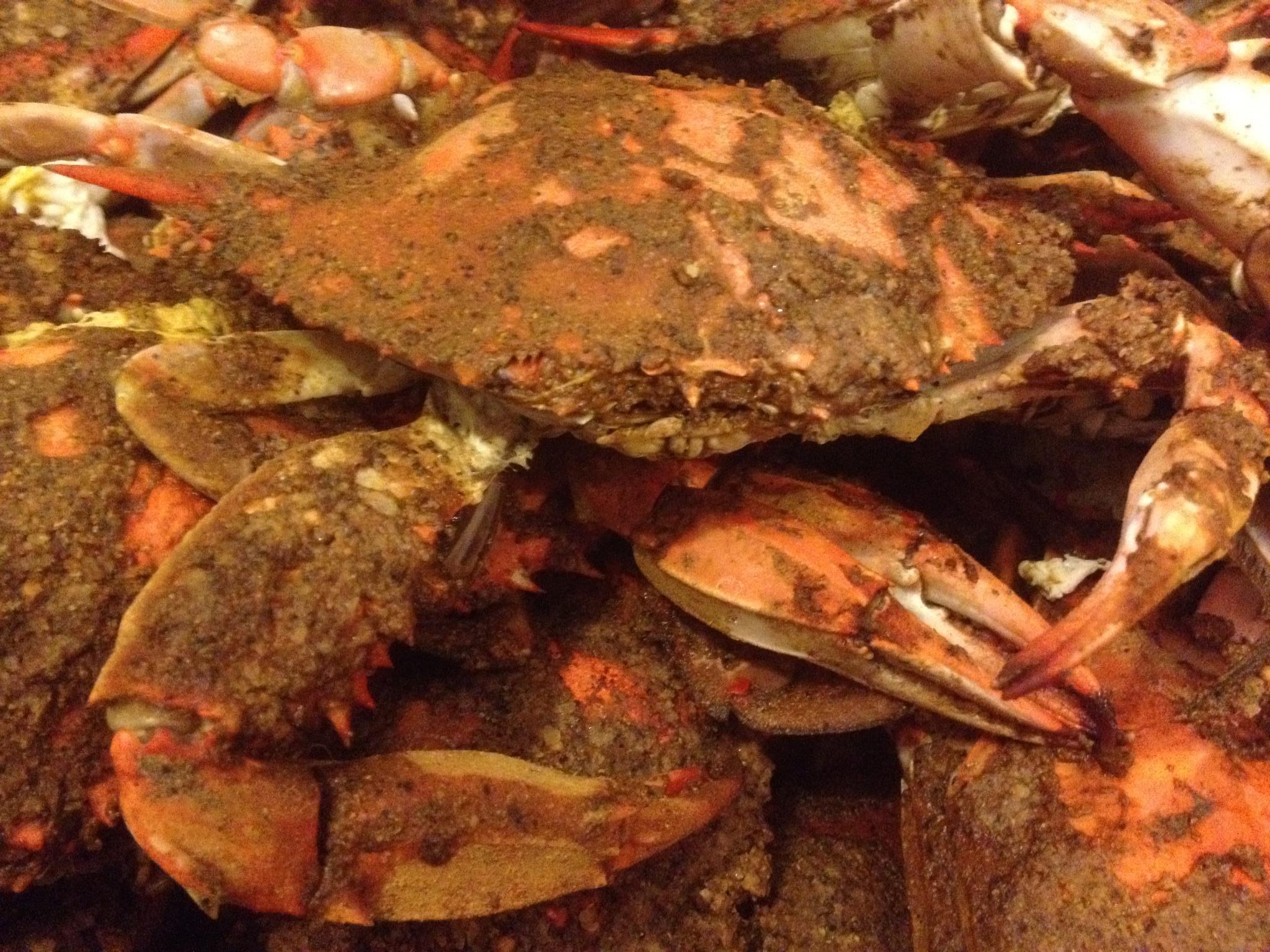 Order Ext Lg/Jumbo  MALE Crabs  food online from Cameron's Seafood store, Frederick on bringmethat.com