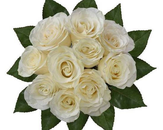 Order 12 White Roses=TIFFANY STYLE DESIGN, LONG STEM - GIFT WRAPPED BOUQUET BABYS BREATH,GREENS & BOW food online from 800 Rose Big Florist Gifts & Desserts store, Newport Beach on bringmethat.com