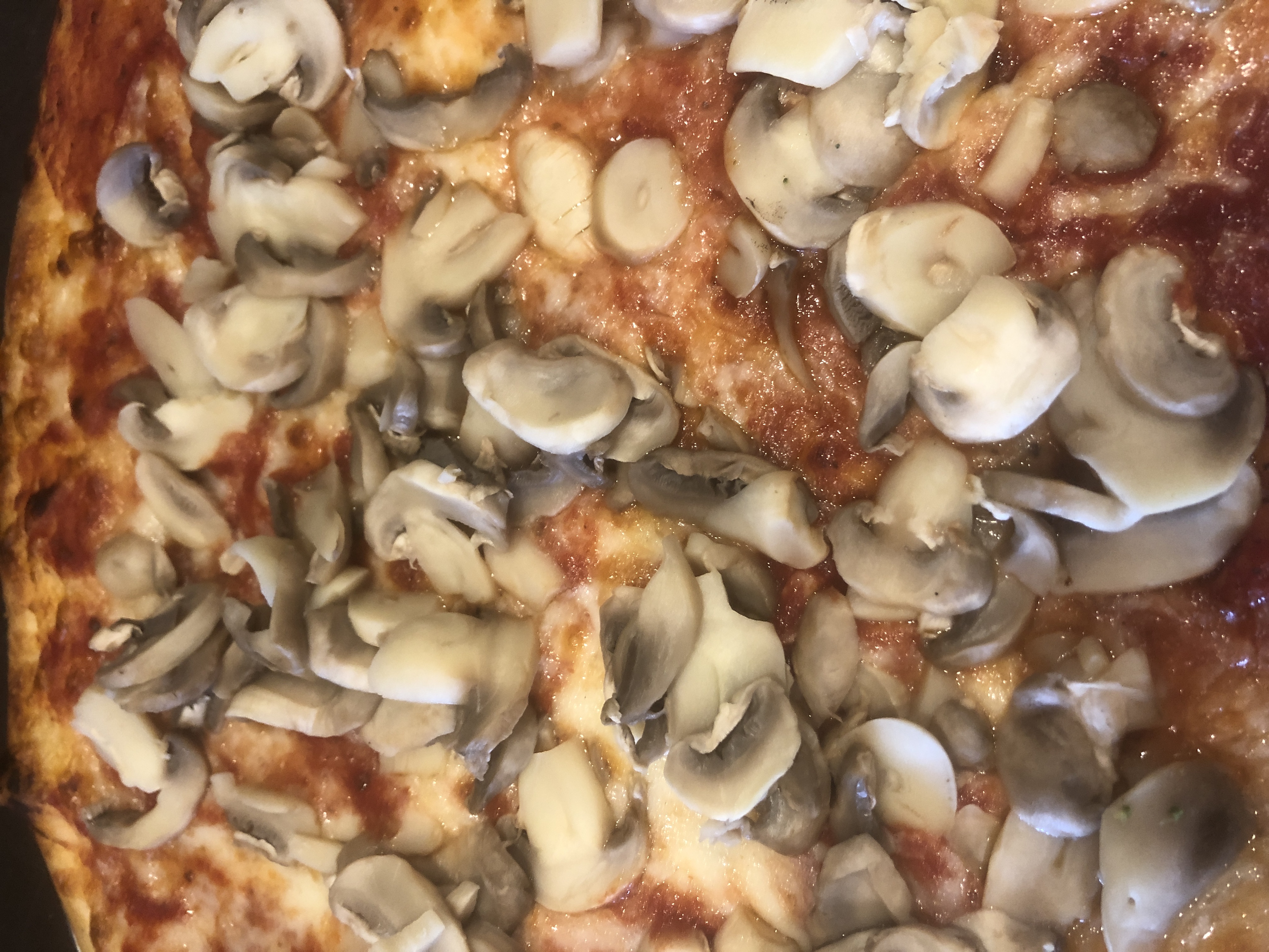 Order Mushroom Pizza food online from Pizza Roma store, Philadelphia on bringmethat.com