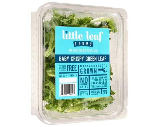 Order Little Leaf Farms · Baby Crispy Green Leaf (4 oz) food online from Shaw's store, Newburyport on bringmethat.com