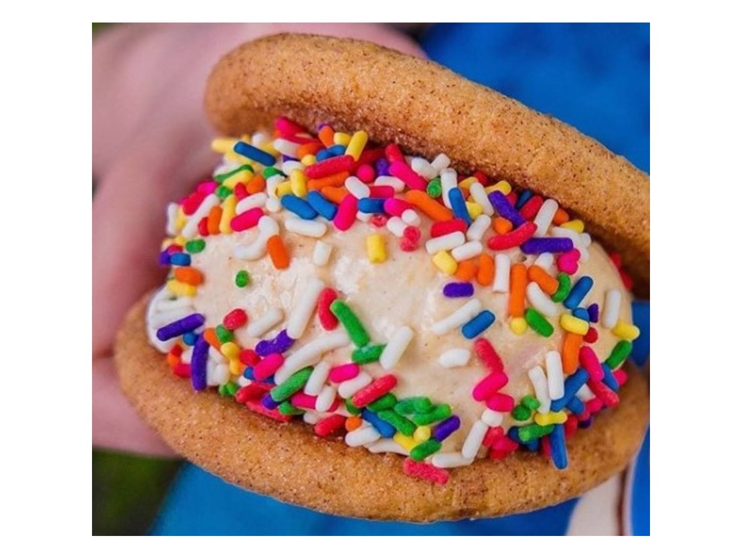 Order Cookie Sandwich food online from Rick's Rather Rich Ice Cream store, Concord on bringmethat.com
