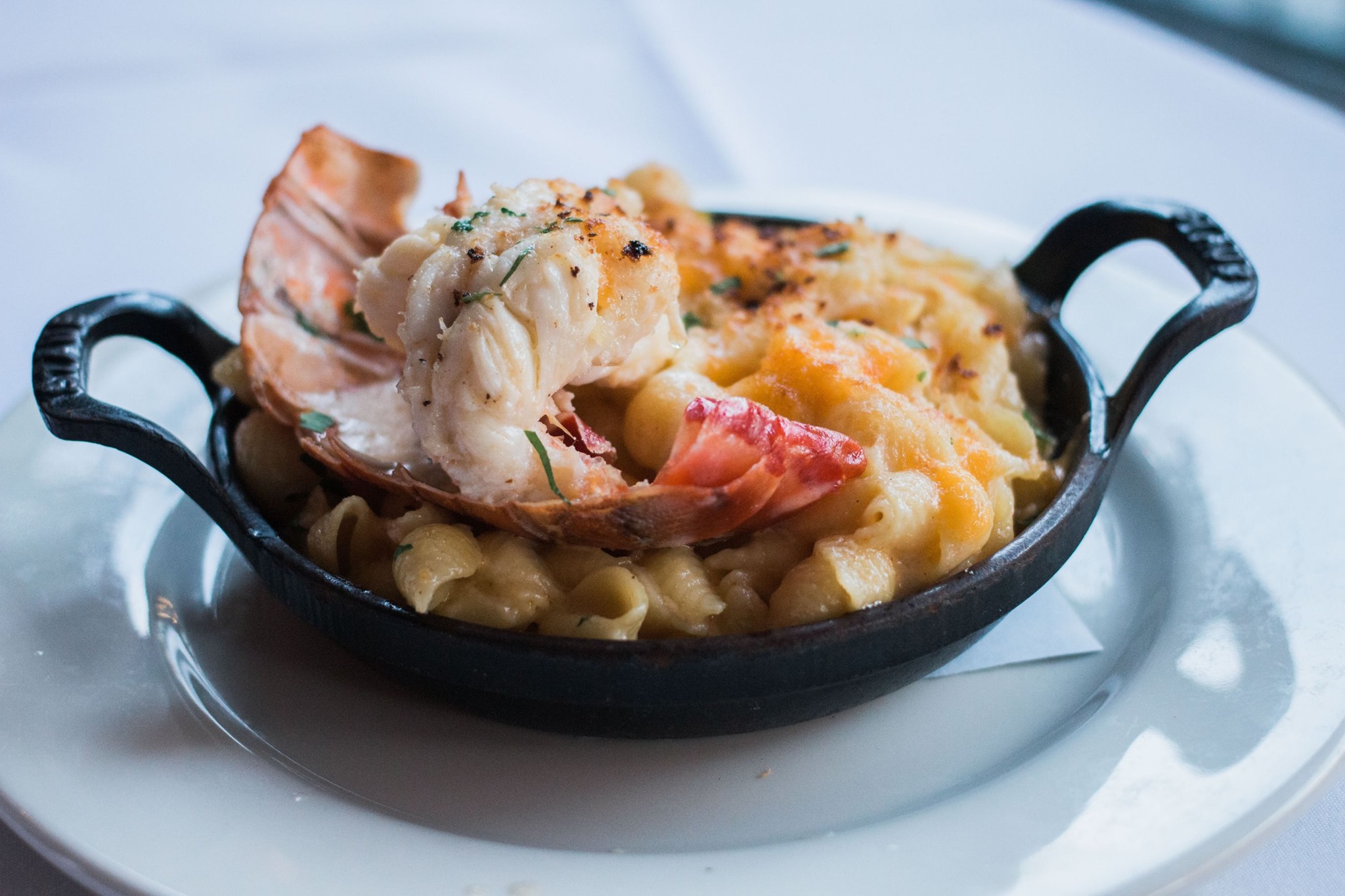 Order LOBSTER  MAC & CHEESE food online from Greystone The Steakhouse store, San Diego on bringmethat.com