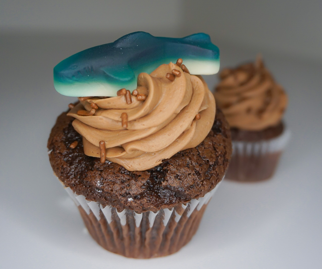 Order Chocolate Shark Attack food online from Little Miss Cupcape store, Hyannis on bringmethat.com