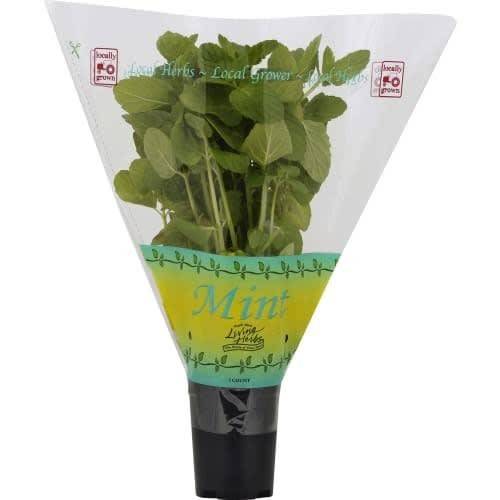 Order North Shore Living Herbs · Mint Plant (1 ct) food online from Vons store, Los Alamitos on bringmethat.com