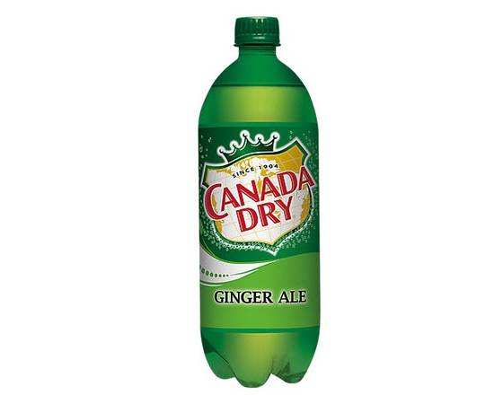 Order Canada Dry Ginger Ale (1 lt) food online from To & Go Grocery store, Northbrook on bringmethat.com