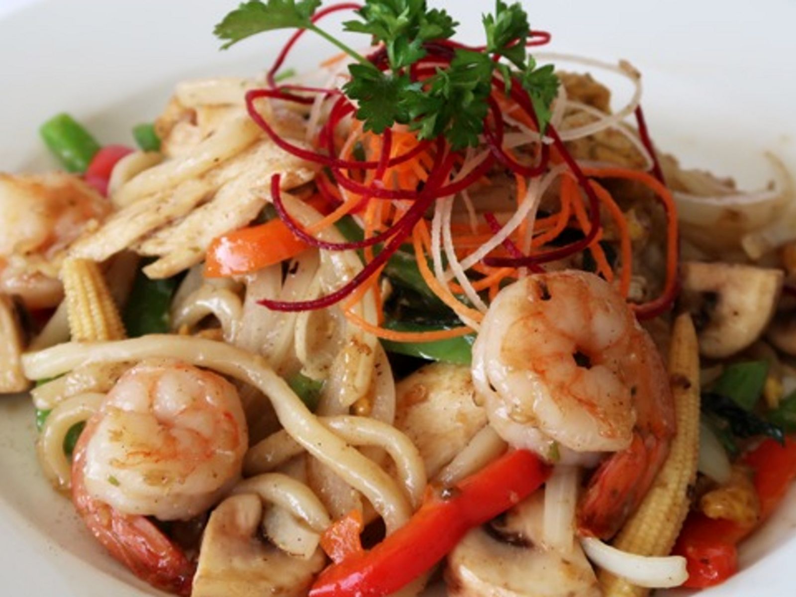 Order PAD UDON NOODLES food online from Pinto Urban Thai Diner store, Richardson on bringmethat.com