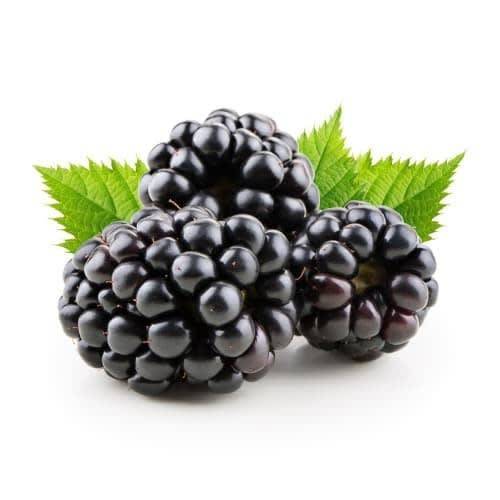 Order Organic Blackberries (6 oz) food online from Albertsons store, Bakersfield on bringmethat.com