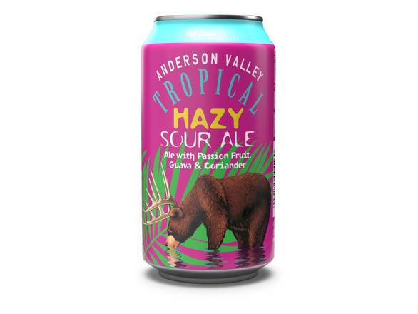 Order Anderson Valley Tropical Hazy Sour Ale - 6x 12oz Cans food online from Wine Expo store, Santa Monica on bringmethat.com