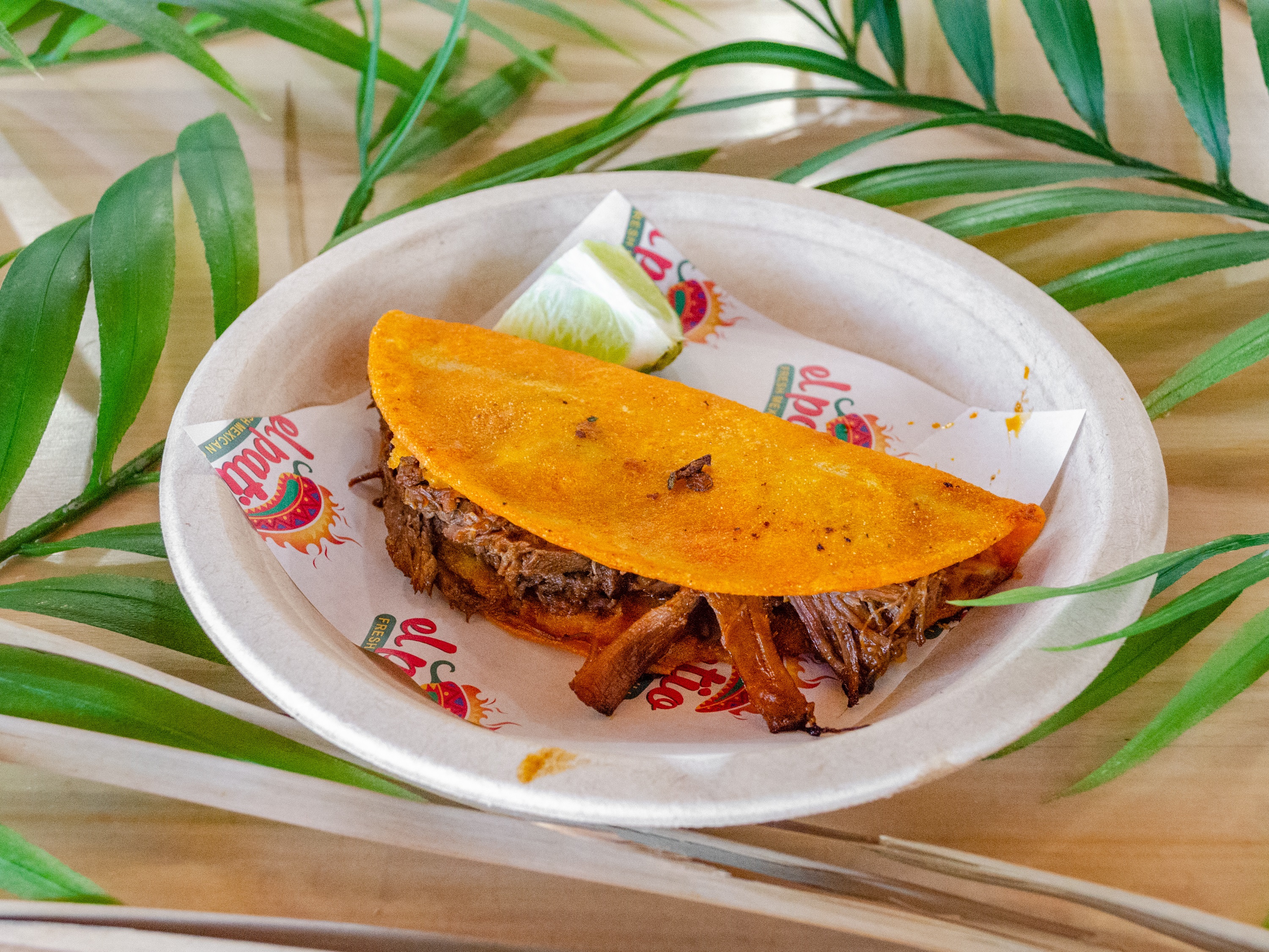 Order Quesabirria Taco food online from El Patio Fresh Mexican Grill store, Davis on bringmethat.com