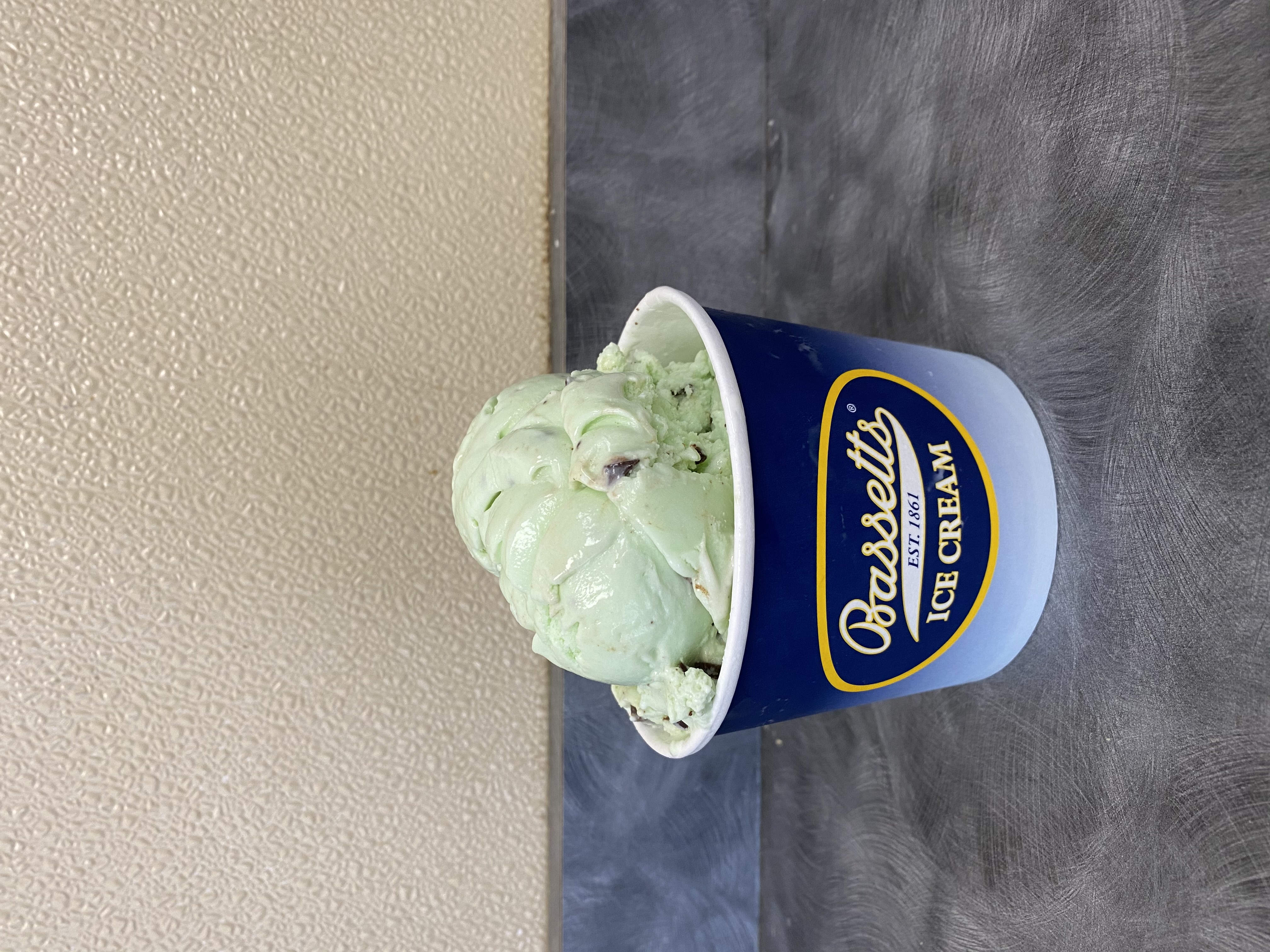 Order Bassett's Large Cup Mint Chocolate Chip Ice Cream food online from Philly Pretzel Factory store, Mt Ephraim on bringmethat.com