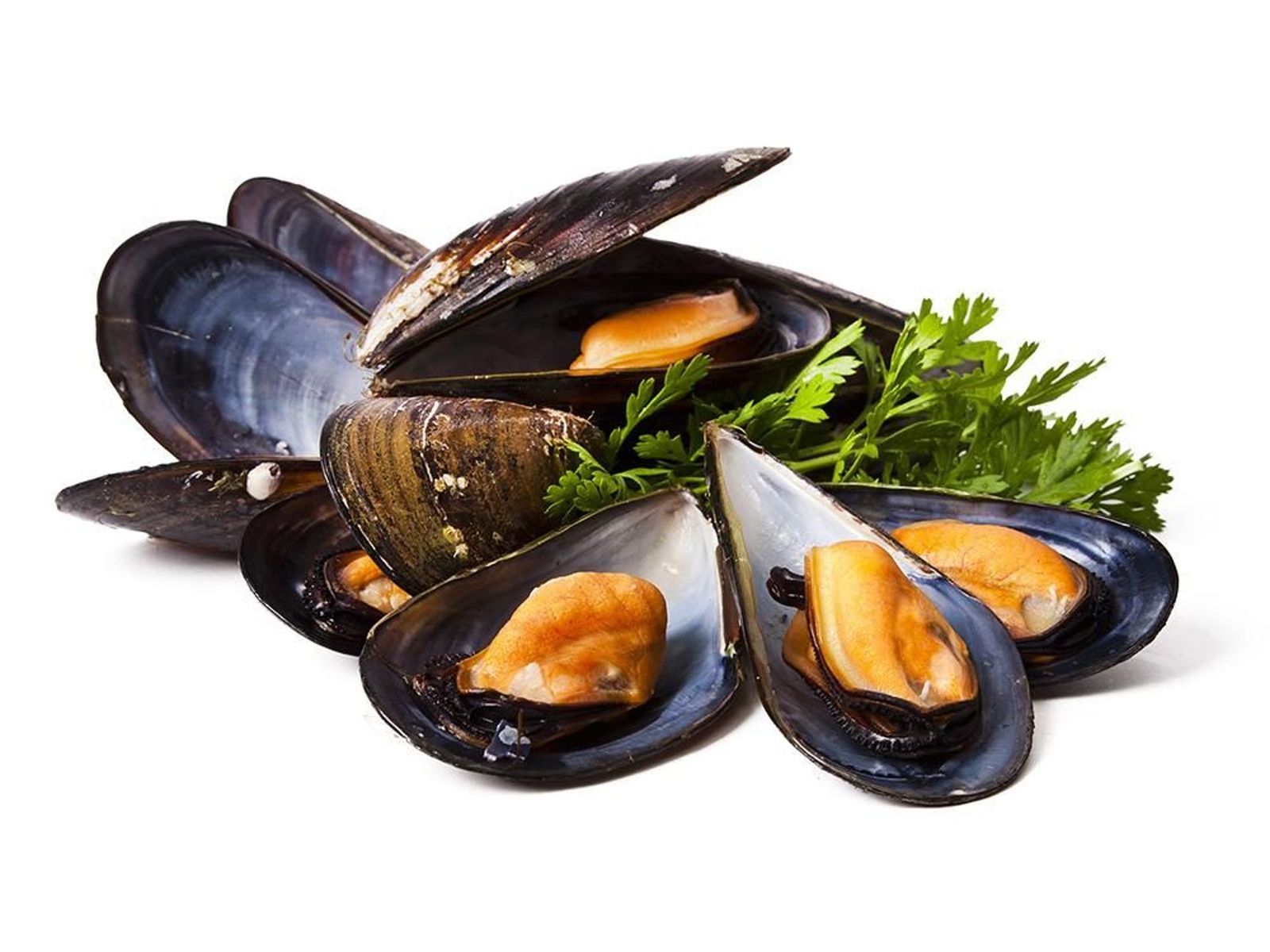Order BLACK MUSSELS food online from Super Crab Juicy Seafood store, Rochester on bringmethat.com