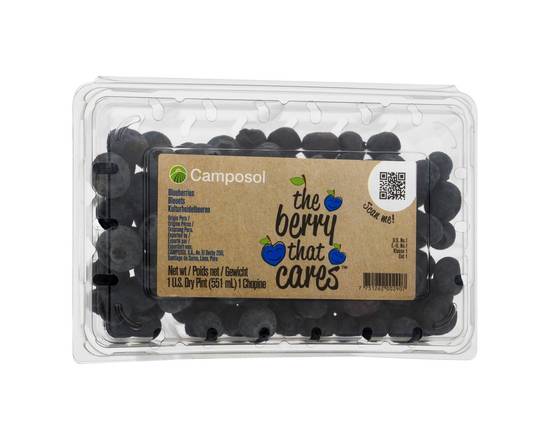 Order Camposol · Blueberries (19.5 oz) food online from Safeway store, Phoenix on bringmethat.com