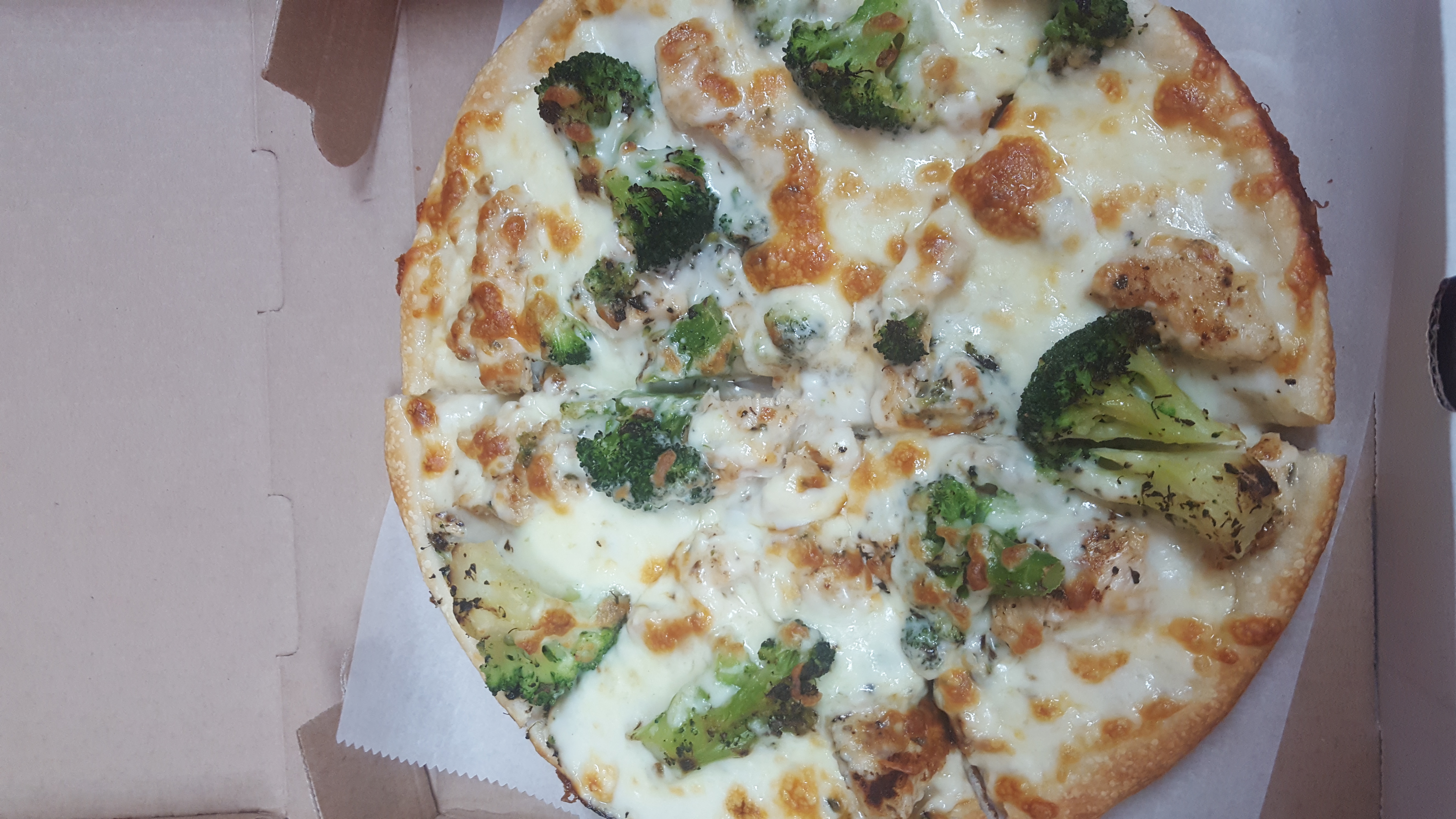 Order Chicken Broccoli Alfredo Specialty Pizza food online from Pizzeria Gusto store, Providence on bringmethat.com