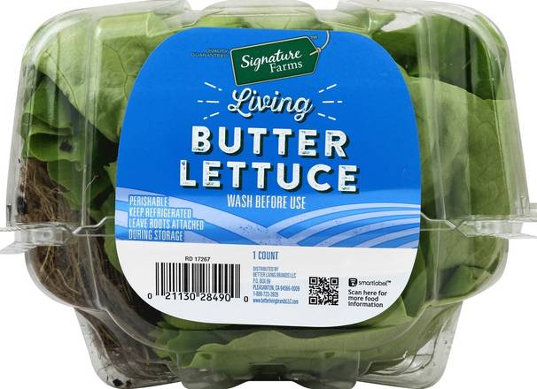 Order Signature Farms · Butter Lettuce (1 lettuce) food online from Albertsons Express store, Alexandria on bringmethat.com