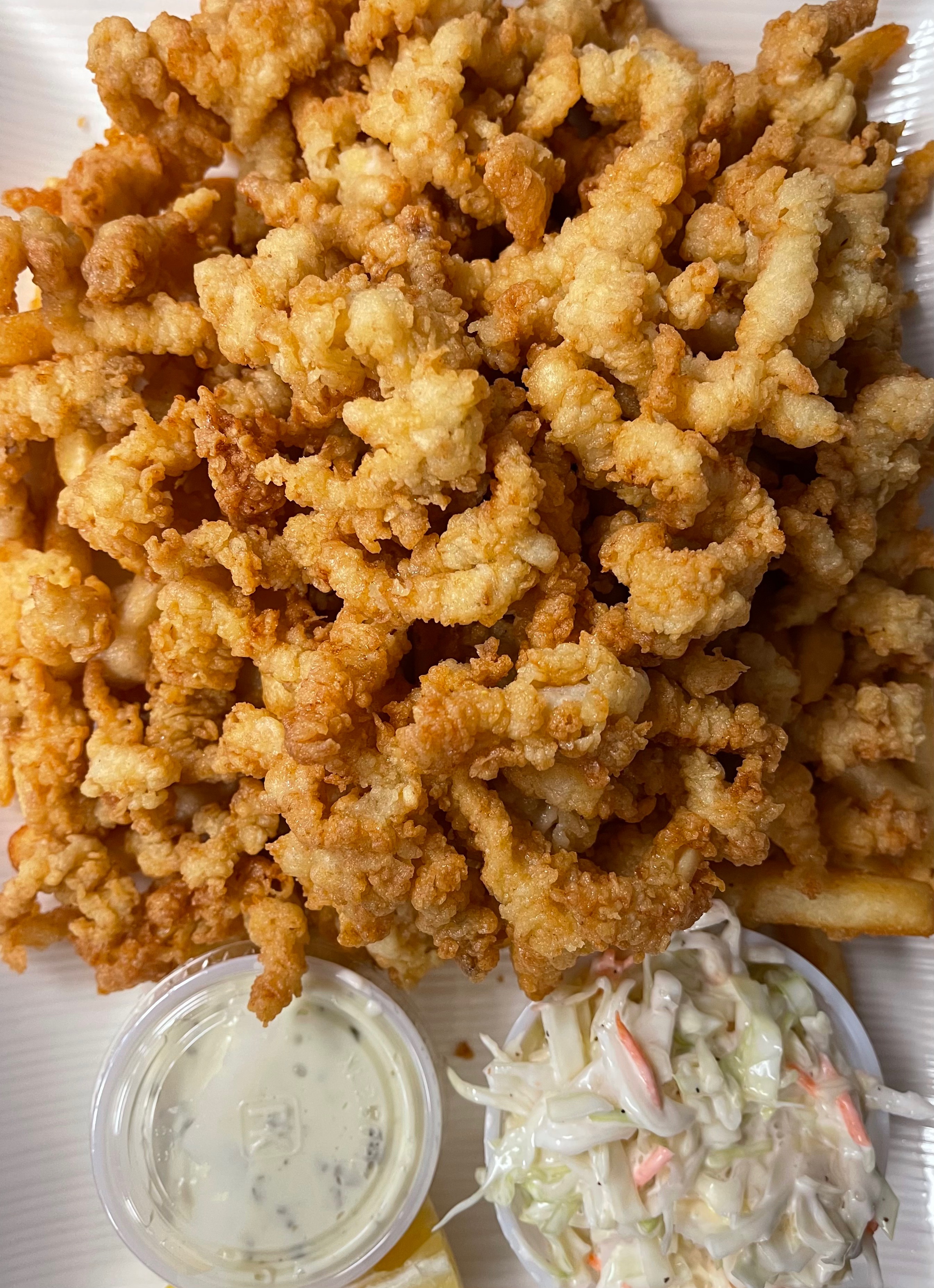Order Fried Clam Strip Dinner food online from Papa Z Restaurant store, Colchester on bringmethat.com