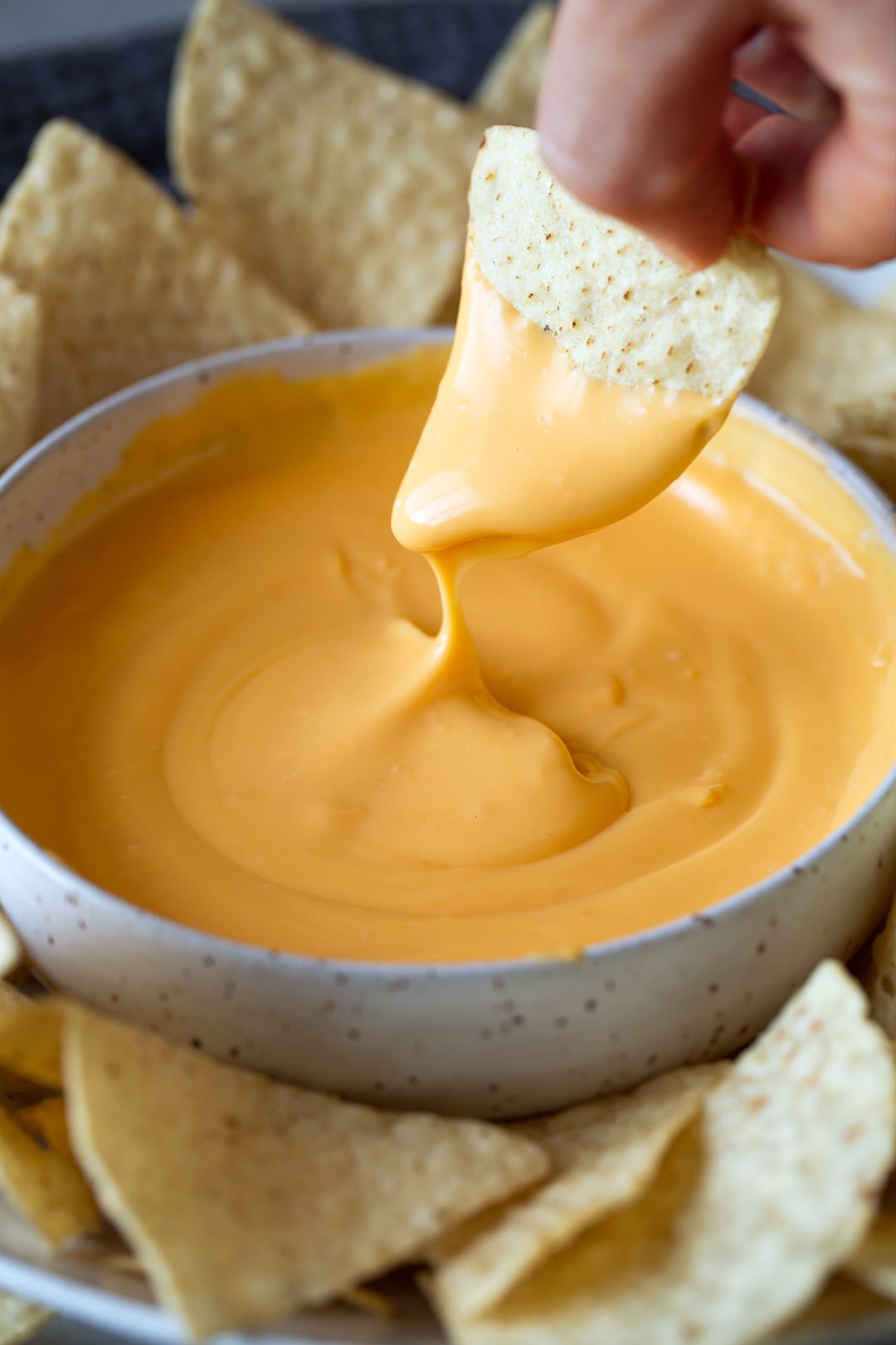 Order Cheese Dip food online from Toreros Mexican Restaurant store, Cary on bringmethat.com