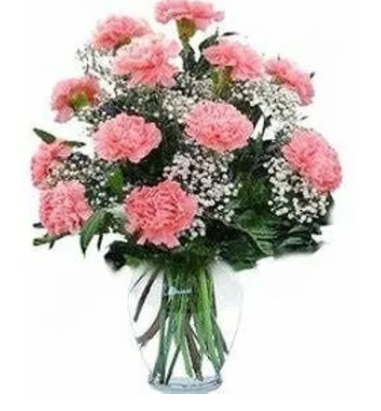 Order 1 Dozen Carnations in Garden Vase food online from Hand Creations Flower Shop & Events store, Ceres on bringmethat.com