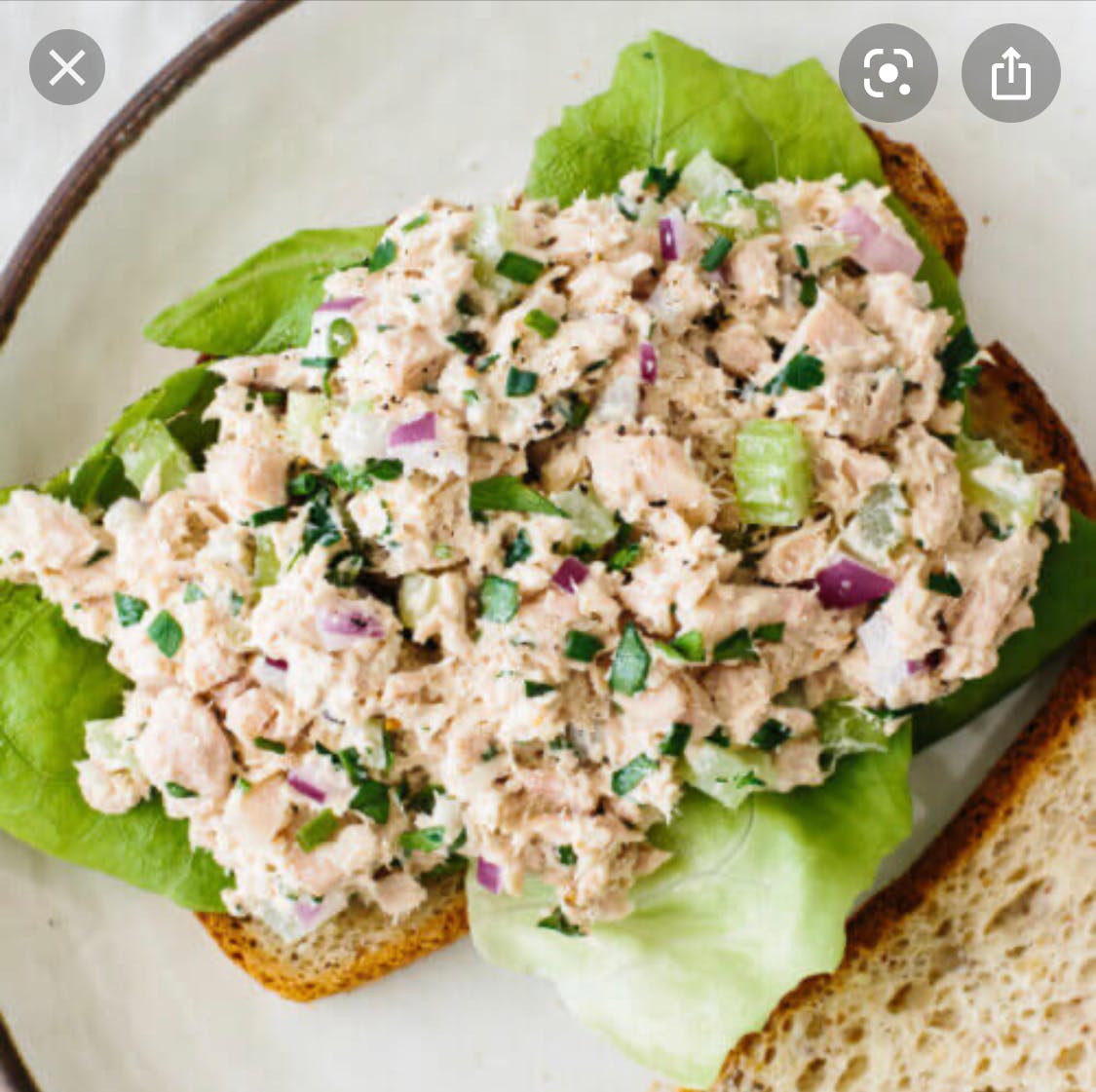Order Tuna Salad - Salad food online from Giovannelie Restaurant store, New Brunswick on bringmethat.com