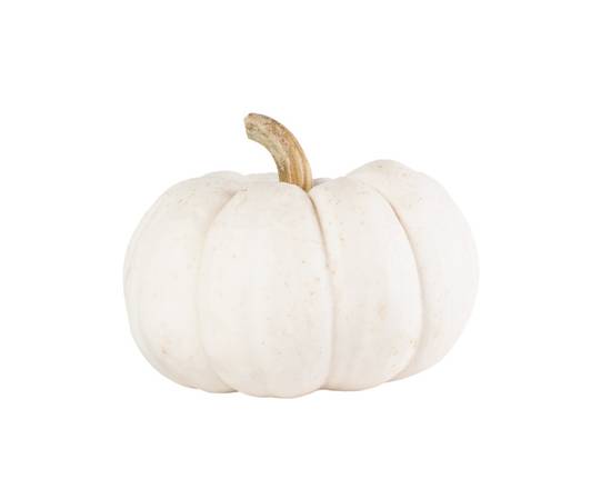 Order Pumpkins White food online from ACME Markets store, Norristown on bringmethat.com
