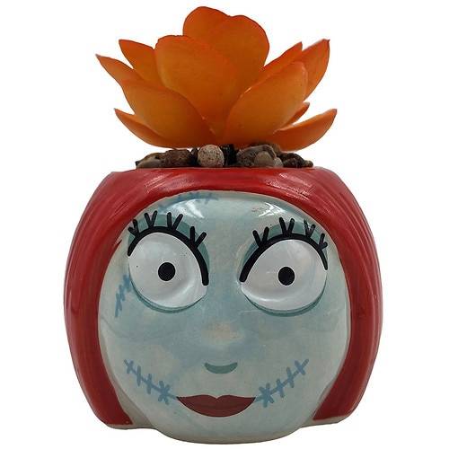 Order Disney Nightmare Before Christmas Mini Succulent Sally - 1.0 ea food online from Walgreens store, League City on bringmethat.com