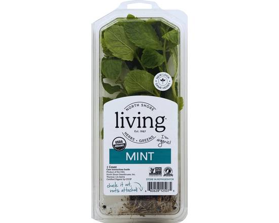 Order North Shore · Living Organic Mint (1 ct) food online from Safeway store, Corte Madera on bringmethat.com