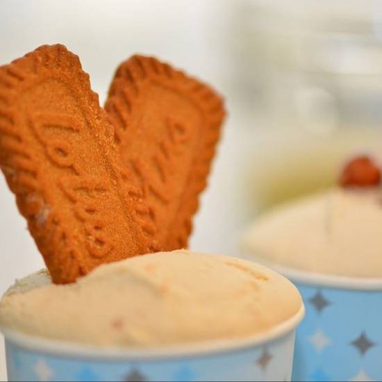 Order Large Cup food online from Frost Gelato store, Phoenix on bringmethat.com