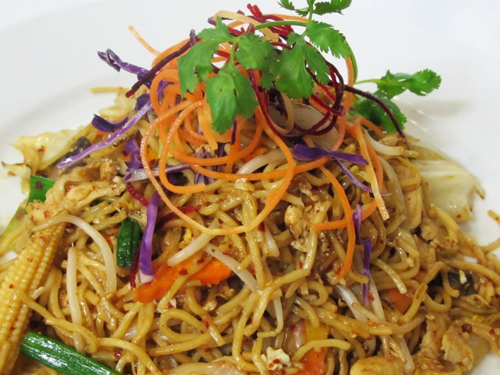 Order THAI  LO MEIN NOODLE (Pad Bha Mee) food online from Pinto Urban Thai Diner store, Richardson on bringmethat.com