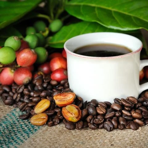 Order Drip Coffee food online from &Grain store, Garwood on bringmethat.com