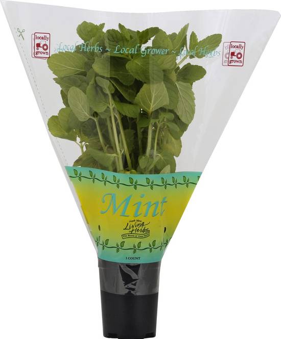 Order North Shore Living Herbs · Mint Plant (1 ct) food online from Albertsons store, Highland on bringmethat.com