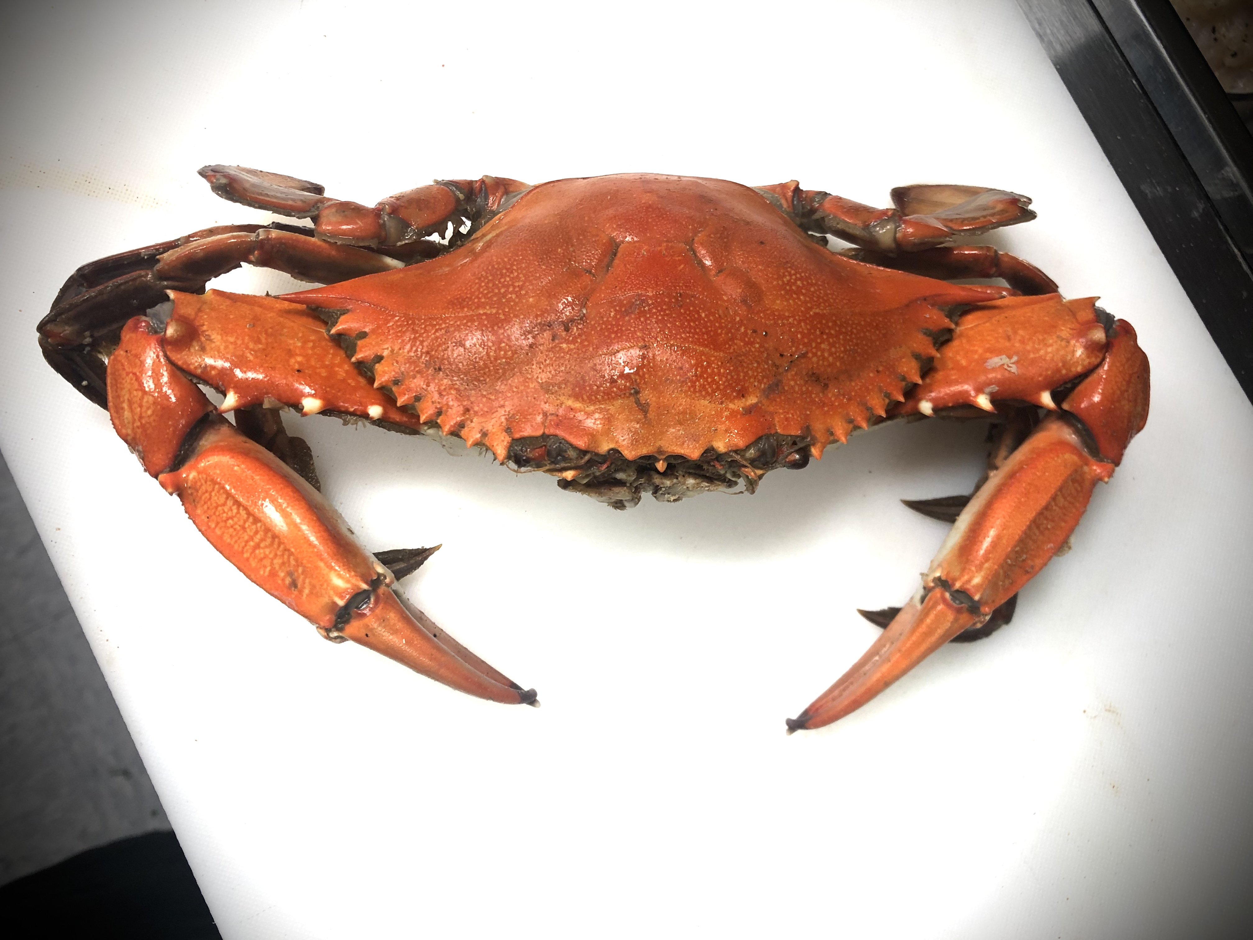 Order Blue Crab (1 pc) food online from Cajun Heroes Seafood Boil & Po'boy store, Philadelphia on bringmethat.com