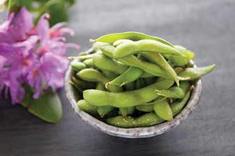 Order Edamame food online from Kumo Sushi store, Plainview on bringmethat.com